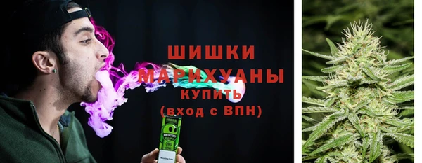 гашик Липки