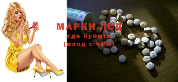 гашик Липки