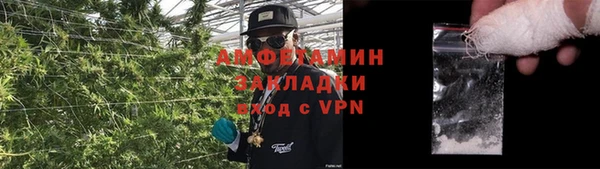 гашик Липки