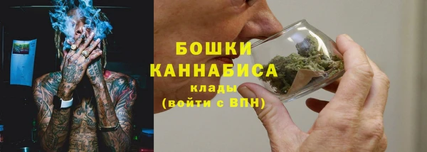 ПСИЛОЦИБИНОВЫЕ ГРИБЫ Лихославль