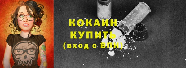 гашик Липки