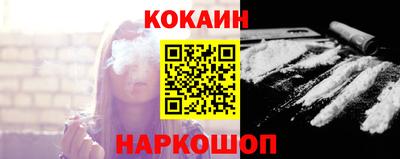 тгк Кингисепп