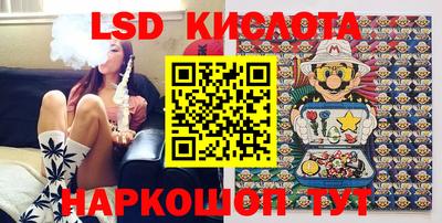 тгк Кингисепп