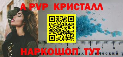 тгк Кингисепп