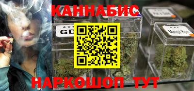 тгк Кингисепп