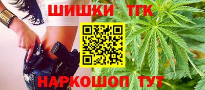 тгк Кингисепп