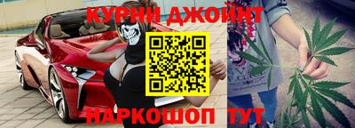 тгк Кингисепп