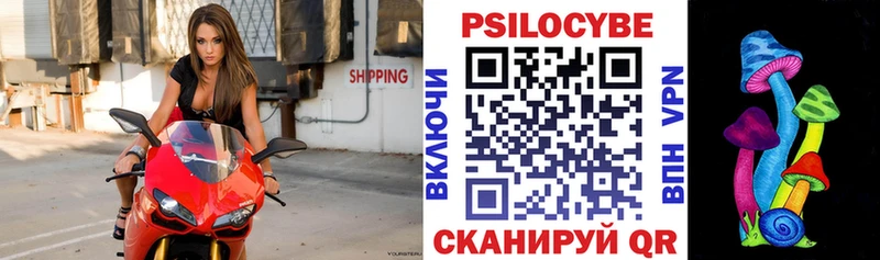 блэк спрут зеркало  Холмск  нарко площадка клад  Галлюциногенные грибы GOLDEN TEACHER 