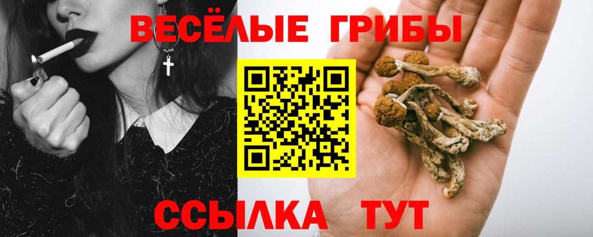 Холмск  Псилоцибиновые грибы Cubensis  Псилоцибиновые грибы Magic Shrooms  Вход с VPN 